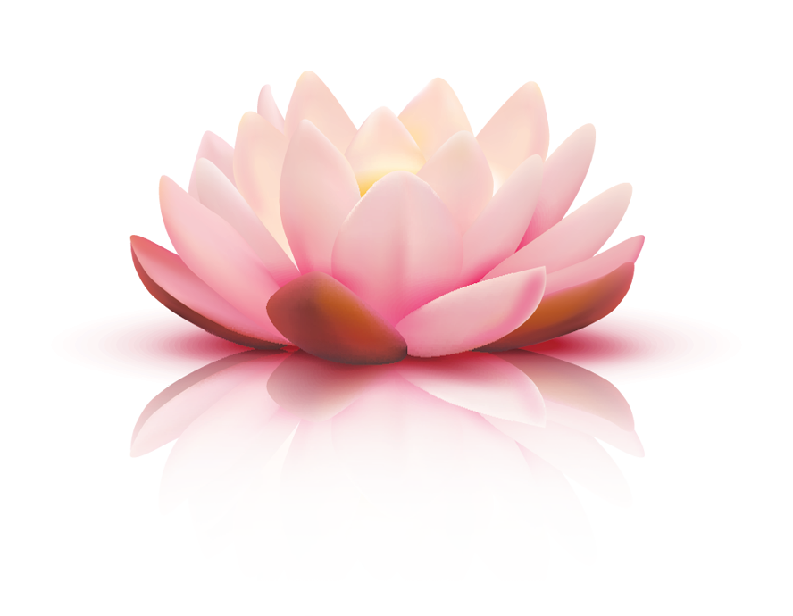 Lotus Flower Image